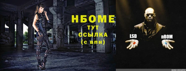 ПСИЛОЦИБИНОВЫЕ ГРИБЫ Бородино