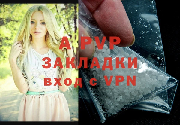 ПСИЛОЦИБИНОВЫЕ ГРИБЫ Бородино