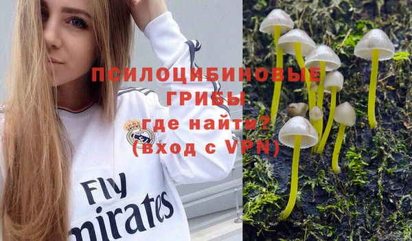 прущий лед Бронницы