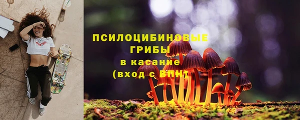 прущий лед Бронницы