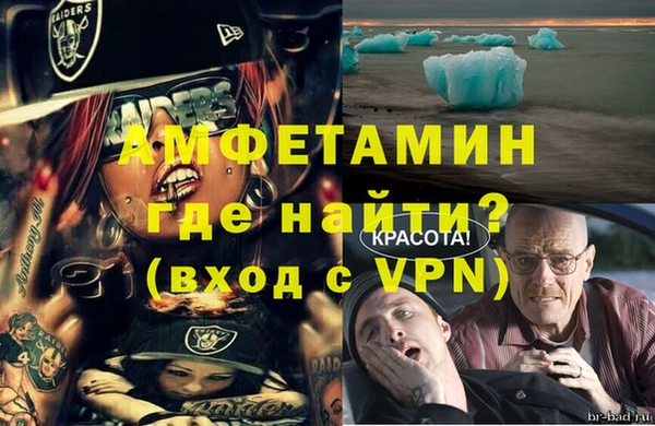 ПСИЛОЦИБИНОВЫЕ ГРИБЫ Бородино